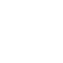 DCM Logo